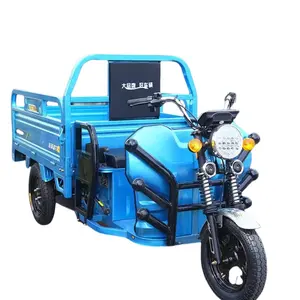 High Performance 1500W 2000W 3000W 1.8 Electro-Tricycle For Courier Delivery Cargo Electric Tricycles