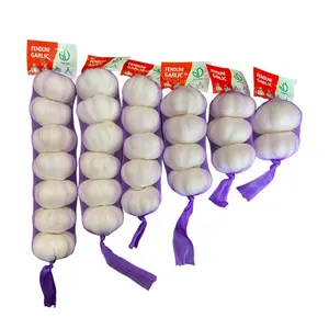 Distributor bawang putih segar terkemuka di Tiongkok/eksportir Harga bawang putih untuk Jinan