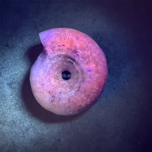 Amonita fosilizada pulida de Timor Leste, de la era Permiana, para exhibición <span class=keywords><strong>paleo</strong></span>árqueica en gabinetes de investigación geológica. - Product Image 2