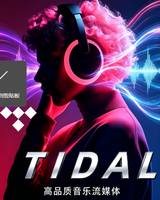 Compte de streaming musical Tidal Premium HiFi Plus de 12 mois