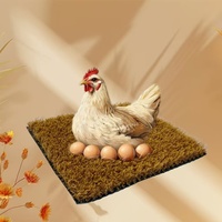 Tapis de nidification en herbe artificielle dorée pour poules, lit doux pour la ponte des œufs, 30x30cm, lavable pour poulailler, nid de volaille