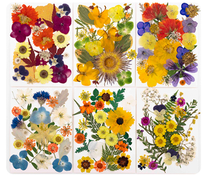 25 unidades/paquete bolsa combinada de flores prensadas - Product Image 2