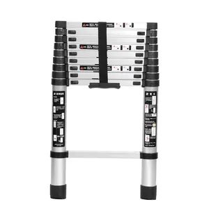 20M Double Telescopic Ladder 38M Euro India 16Ft Black Adjustable Side Lightweight Replacement Multipurpose Sided Folding Home