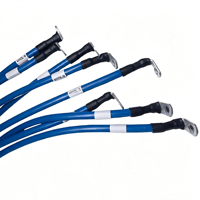 Harness Kabel Berinsulasi Biru Tugas Berat Khusus dengan Konektor Tembaga Berulir untuk Kabinet Kontrol, Peralatan Tenaga, Modul Energi Baru