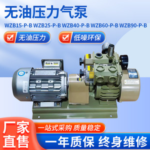 Pompe à vide industrielle sans huile Isge Wzb-P-B 22 m³/h 100 000 Pa en fonte et acier inoxydable - Product Image 5