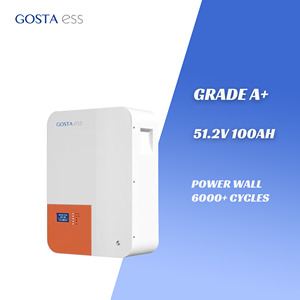 AA91302 <span class=keywords><strong>GOSTA</strong></span> WM50HF 51.2V a parete 100AH 200AH 51.2V LiFePO4 batteria agli ioni di litio 5KWh 10KWh pannello batteria - Product Image 3