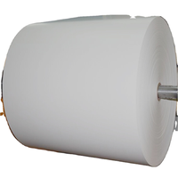 Papier non couché volumineux sans bois, papier blanc 56 g/m², papier offset non couché sans bois - couleur super ivoire, feuilles en vrac/rame/rouleau jumbo
