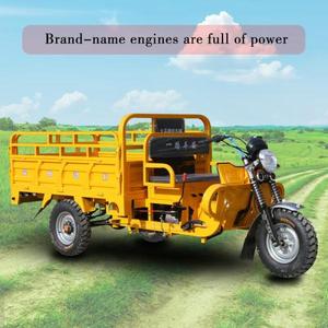 China 200cc <b>Gasoline</b> Tricycle Adult Open Body Motorized and Passenger Two Seats Tricycle - Product Image 6