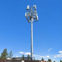 Mât d'antenne de station de télécommunications sans fil, tour de communication GSM monopôle de 30 m en acier Q355 galvanisé à chaud