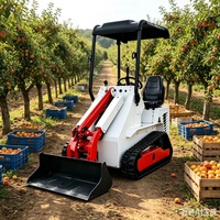 Small Tracked Loader Mini Compact Skid Steer Machine Agricultural Farm Equipment Hydraulic Gasoline Engine High Efficiency