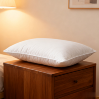 Oreiller en plumes douces de marque propre, écologique, non toxique, confortable, chaleur, design détaillé, noyau d'oreiller pour l'hôtellerie, en paire