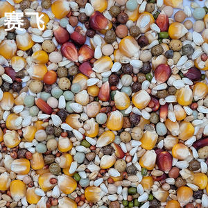 Nihewan-comida para loros, mezcla de semillas, fruta, pájaro, comida - Product Image 2