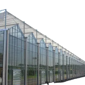 Serre en verre multi-travée pour l'agriculture, professionnelle Venlo