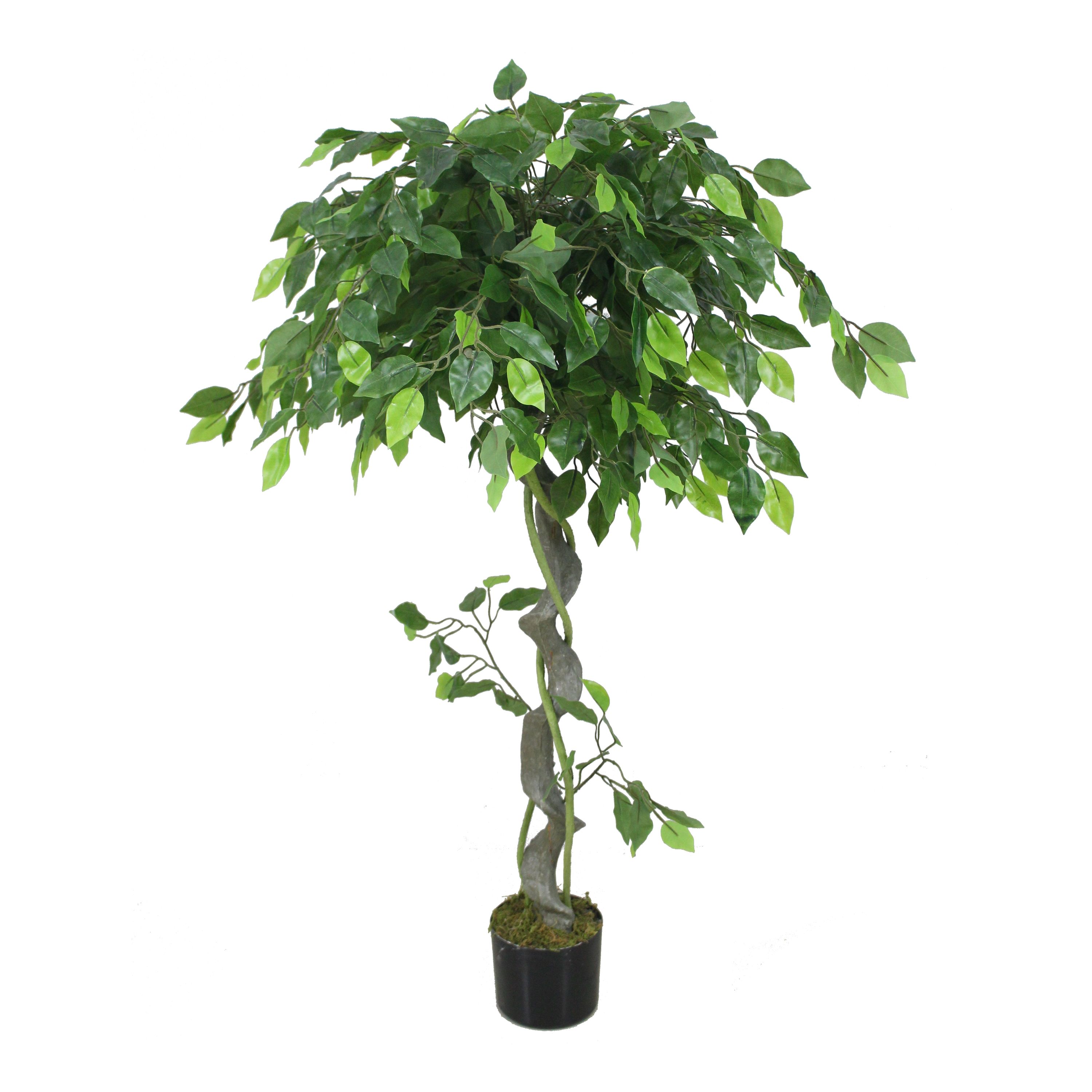 กองทัพสีเขียว