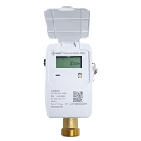 Compteur de débit ultrasonique DN25 de haute qualité avec vanne de régulation DN15-DN25, compteur d'eau en laiton pour Smart City, OEM IP68