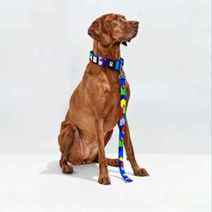 WK <span class=keywords><strong>2026</strong></span> FIFA Officiële Gelicenseerde Huisdierproducten 2-in-1 Omkeerbare Hond Bandana Duurzame Verstelbare Hondentuig & Leidingsset - Product Image 5