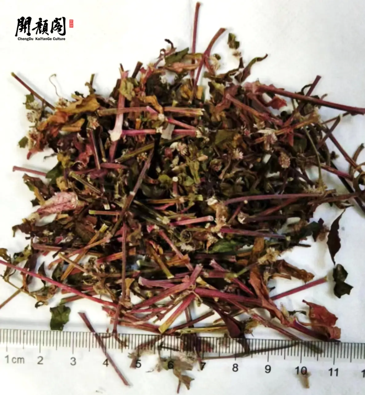 KAIYANGE cina medicina all'ingrosso natura foglie essiccate di Alternanthera sessilis Sessile Joy weed HONG TIAN WU/HONG JIE CAO