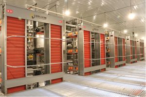 Jinmuren katmanlı tam otomatik en iyi fiyat çiftlik bina tavuk kafesi - Product Image 6