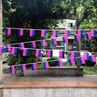 Drapeau arc-en-ciel de la fierté LGBTQ+ en gros, nouveau, élaboré, pour la fierté gay, lesbienne, pansexuelle et bisexuelle