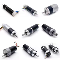 Motor DC Brushless Gear 16mm 20mm 22mm 24mm 28mm 32mm 36mm 6v 12v 24v dengan Gear Box Planetary