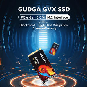 Gudga Fabriek Snelle Snelheid M.2 Pcie 3.0 Ssd 256Gb M.2 Nvme 2242 Voor Laptop - Product Image 4