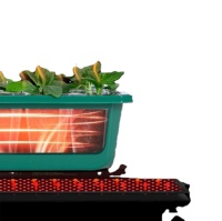 Tapis chauffant pour semis 48*20.75 pouces XHC F144 avec prise US, double affichage, thermostat de germination et film chauffant PTC infrarouge lointain pour la maison