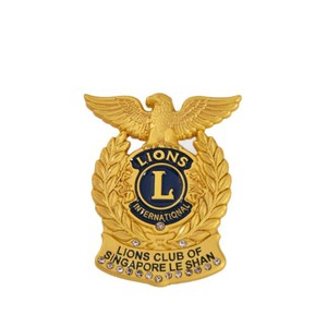 Broche de Metal Personalizado de Aleación de Zinc con Logotipo de Qatar Airline para Uniformes, Alas de Avión, Chapado en Oro - Product Image 2