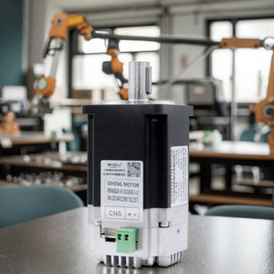 Motor Nema24 de 60 mm, 200 W, 48 V, con Controlador Integrado, Monofásico, 3000 rpm, para RGV, de la Fábrica Siheng, Venta Caliente 2025 - Product Image 3