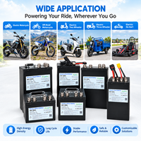 Batterie au lithium personnalisée 60V 32Ah 16S8P pour tracteur de pelouse électrique, véhicule utilitaire de jardin, entretien des propriétés