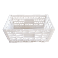 BERYS Bacs à œufs empilables en plastique pour 240 œufs, paniers de rangement pliables, boîtes mobiles, rouge, état neuf, usage domestique, usage avicole