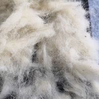 Vente en gros de poils de mouton cardés 100% laine d'Australie