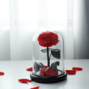 <span class=keywords><strong>Roses</strong></span> éternelles, fleurs pour la fête des mères, fleurs préservées éternelles, <span class=keywords><strong>roses</strong></span> éternelles dans un dôme en verre avec LED - Product Image 4