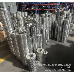 2205 Duplex Edelstahl PL/SO/WN/SW Flansch Flachs ch weißen 310S/2507/C276/904L/254SMO - Product Image 4