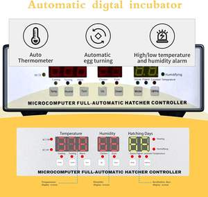 Incubadora Doméstica al por Mayor, Totalmente Automática, Inteligente en Chino e Inglés, para Pollitos Grandes, con Temperatura Constante - Product Image 6