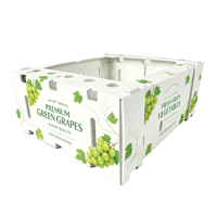 Boîte à fruits et légumes en carton alvéolaire personnalisée, impression UV, pliable, étanche, anti-humidité, emballage pour chaîne du froid, plastique calcium