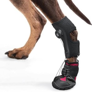 Hard-Soled Solid <b>Dog</b> Shoes <b>Socks</b> Eco-friendly Anti-Dirt Anti-Falling Wear-Resistant Breathable Non-Removable Rubber Pet Foot - Product Image 1