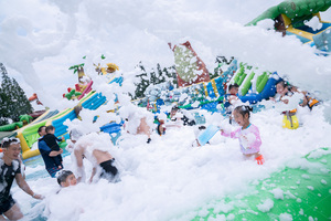 Sichuan Xinjin-Whale Spirit Magic, Fase 2 del mundo feliz, diseñada y fabricada por CMWaterparks Water Park - Product Image 3