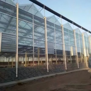 <span class=keywords><strong>Serre</strong></span> en verre moderne, recouverte de verre, est utilisée pour la culture de cultures et de légumes (comme la laitue, le <span class=keywords><strong>basilic</strong></span>). - Product Image 3