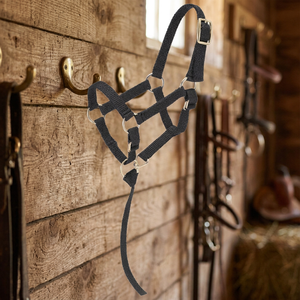 Harnais de Selle Anglaise de Haute Qualité pour Cheval, Équipement d'Équitation Polo, Bandeau de Nez Rembourré en Tissu, Équipement de Spectacle Polyvalent, Vente en Gros OEM - Product Image 3