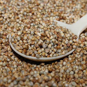 Millet perlé indien de qualité supérieure - Product Image 1
