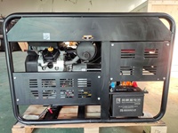 Générateur portable à double carburant 10KW 11KW 12KW 10-15KVA AVR Puissance électrique à cadre ouvert GPL GN Propane 3 phases Gaz 230V/240V