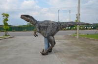 Costumes de dinosaures animatroniques personnalisés, modèles de dinosaures, dinosaures aux yeux rouges, costume de dinosaure électrique animatronique, Velociraptor