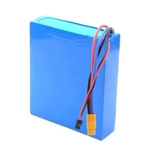 Paquete de Baterías de Litio de 48V 18650 para Equipos Médicos Electrónicos - Product Image 1