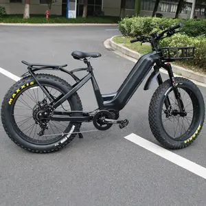 Venta caliente 2023 Nueva 5 Estrellas Comentarios potente 48V 1000W bicicleta eléctrica con Max 55 km/h ebike