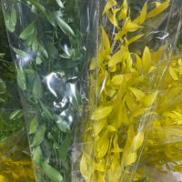 Matériaux de bricolage en gros tout-en-un : Fleurs éternelles, bambou panda préservé, feuilles de bambou préservées pour la décoration intérieure et les arrangements floraux
