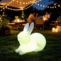 CAIQI Lampe LED Lumineuse Lapin Étanche Rechargeable Multicolore Décoration Extérieure Halloween Noël Paysage