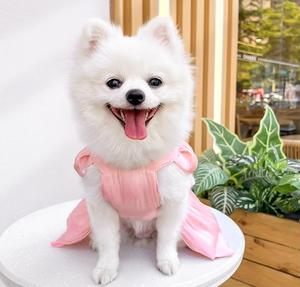 पालतू शादी की पोशाक कुत्ते के कपड़े वसंत गर्मियों के छोटे कुत्ते कुत्ते बिल्ली के लिए धनुष स्कर्ट कपड़े - Product Image 3