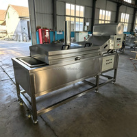 Machine à Frire les Chips de Banane et les Cacahuètes de Haute Qualité, Machine à Fabriquer des Snacks, Machine à Frire les Nuggets de Poulet à Bande Continue