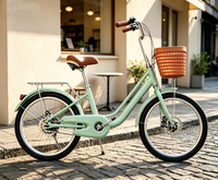 Prix d'usine – Vélo de ville 20/22 pouces en acier à haute teneur en carbone avec panier en plastique pour femme – En promotion