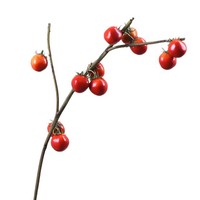 Kunstmatige kersentomaten tak 68cm, nep tomatenstoot met 11 vruchten voor thuis, kantoor, hotel, bruiloft, vaasdecoratie, groothandel